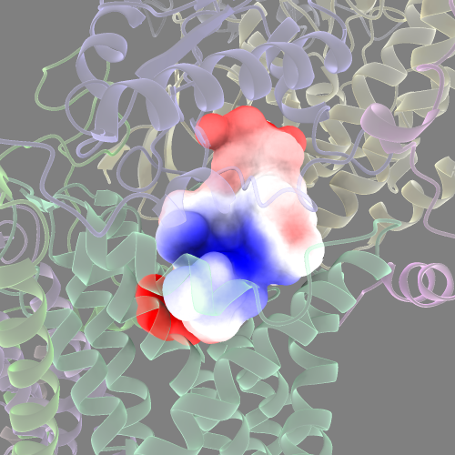 coulombic